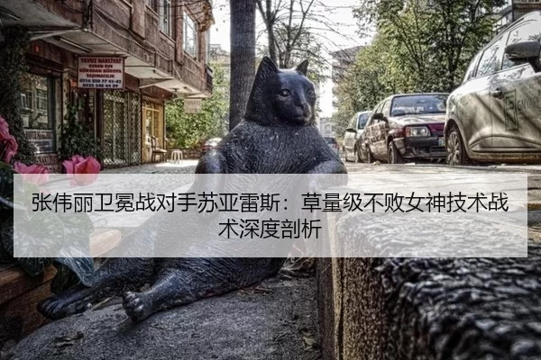 张伟丽卫冕战对手苏亚雷斯：草量级不败女神技术战术深度剖析